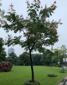 鄞州公园9