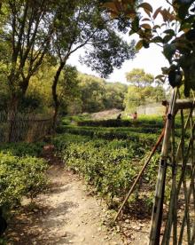 保国寺古建筑博物馆20