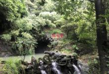 保国寺古建筑博物馆13