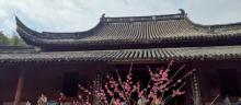 保国寺古建筑博物馆26