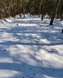 四明山国家森林公园13