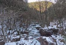 四明山国家森林公园14