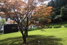 四明山国家森林公园26