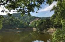 阿育王寺27