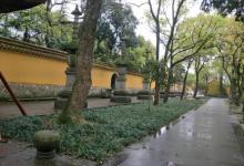 阿育王寺15