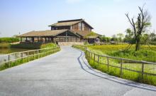 杭州湾国家湿地公园3