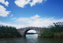 杭州湾国家湿地公园9