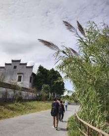 杭州湾国家湿地公园26