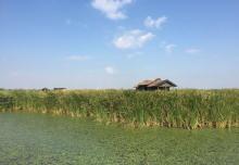 杭州湾国家湿地公园24