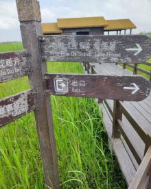 杭州湾国家湿地公园12