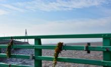 杭州湾跨海大桥5