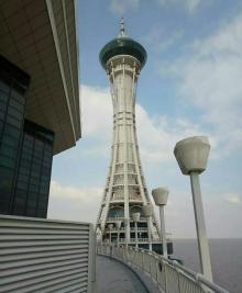 杭州湾跨海大桥2