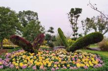 宁波植物园7