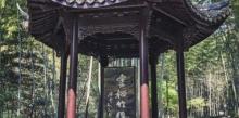 宁波植物园12