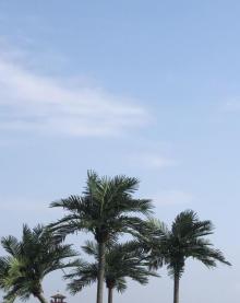 梅山湾沙滩公园12
