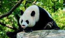 罗蒙环球乐园11