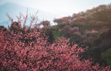 溪口-滕头旅游景区20