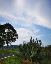 东钱湖20