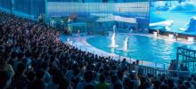 宁波海洋世界16