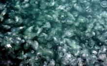 宁波海洋世界1