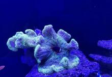 宁波海洋世界25