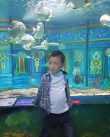 宁波海洋世界27