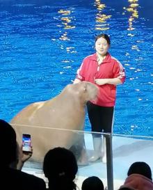 宁波海洋世界26