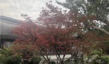 西山雕花楼1