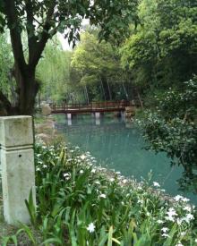 白云风景区7