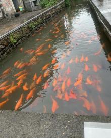 后岸村3