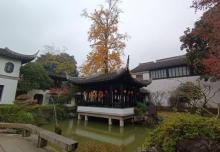古松园29