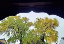 苏州定慧寺15