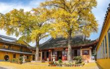 苏州定慧寺3
