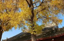 苏州定慧寺20