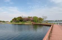 贡湖湾湿地公园19
