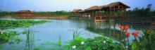 贡湖湾湿地公园3