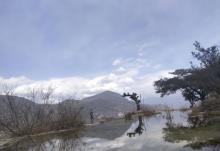 贡湖湾湿地公园8