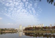 乐清市清和公园3