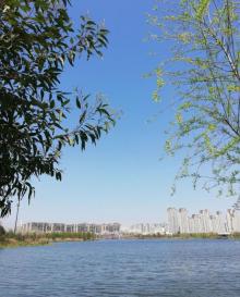 乐清市清和公园15