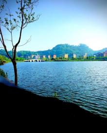 乐清市清和公园5