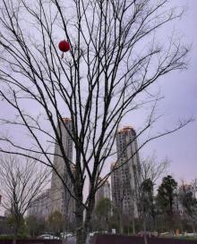 乐清市清和公园12
