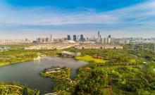 南通植物园6