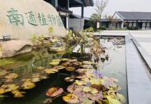 南通植物园7