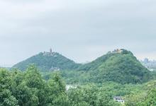 南通植物园11