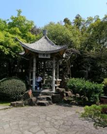 江南兰苑12