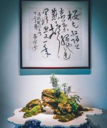 江南兰苑8