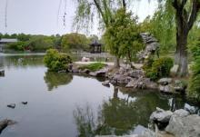 吴江公园5