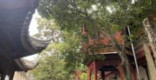 雨花胜境21