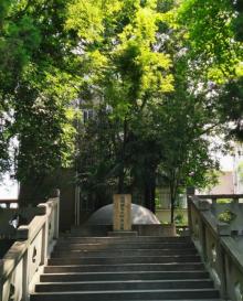 m山园20