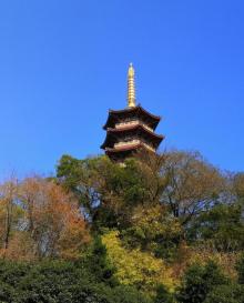 九山公园15